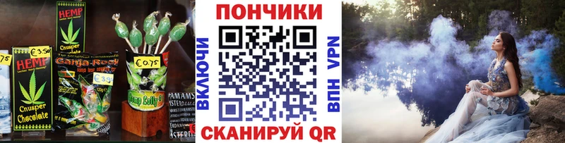 Cannafood конопля  Суджа 