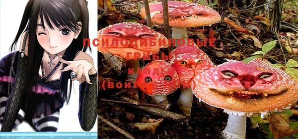 амф Лабытнанги